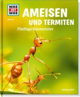 Ameisen und Termiten