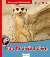 Das Erdmännchen