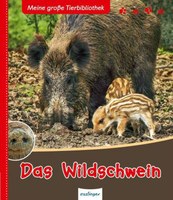 Das Wildschwein