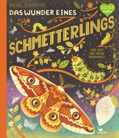 Das Wunder eines Schmetterlings