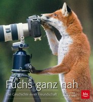 Fuchs ganz nah