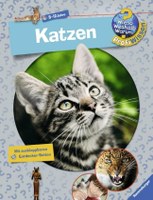 Katzen