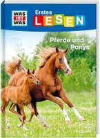 Pferde und Ponys