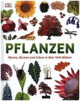 Pflanzen