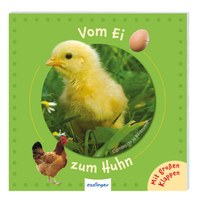 Vom Ei zum Huhn