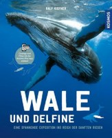 Wale und Delfine