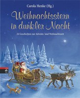 Weihnachtsstern in dunkler Nacht